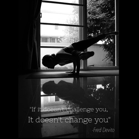 10978638_10152982586131539_1336167037270248229_n