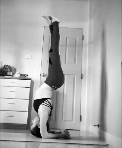 11988520_1108192052539431_5428560325413784585_n