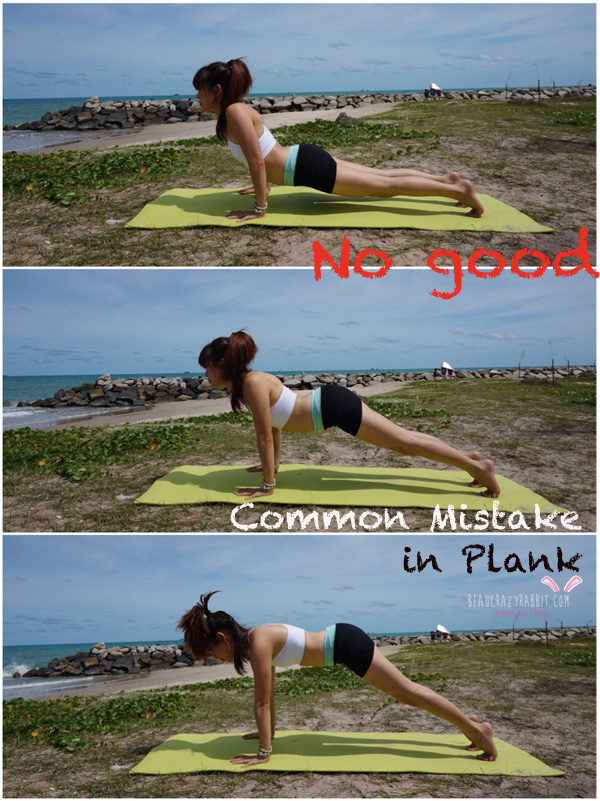 plank3
