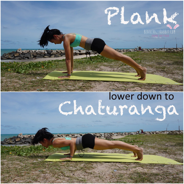 plank4