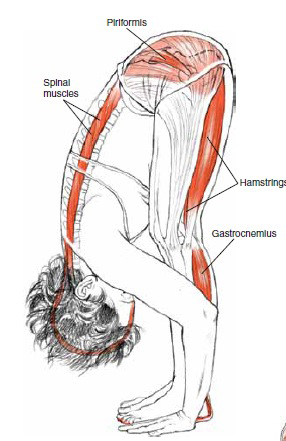 Uttanasana